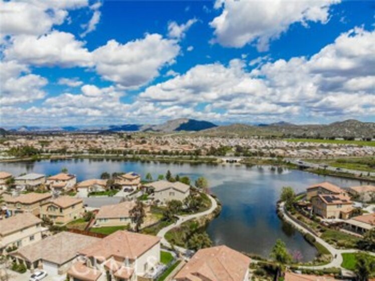 29347 Harlequin Photo